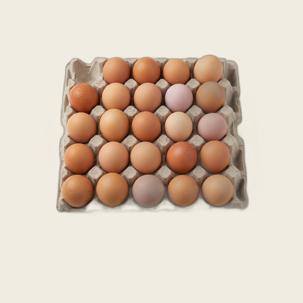Bio eitjes (10 st)